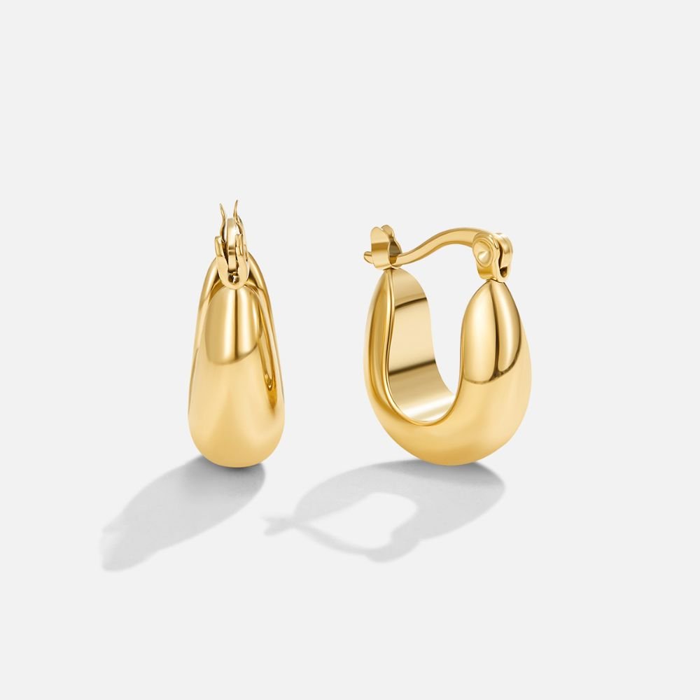 Hoop Earrings with Clasp Closure