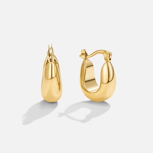 Hoop Earrings with Clasp Closure